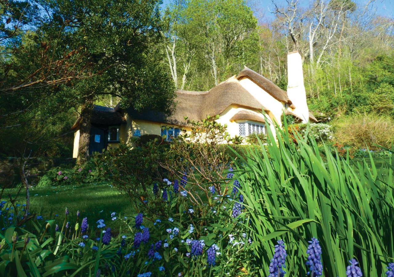 Southcliffe B&B Линтон Экстерьер фото