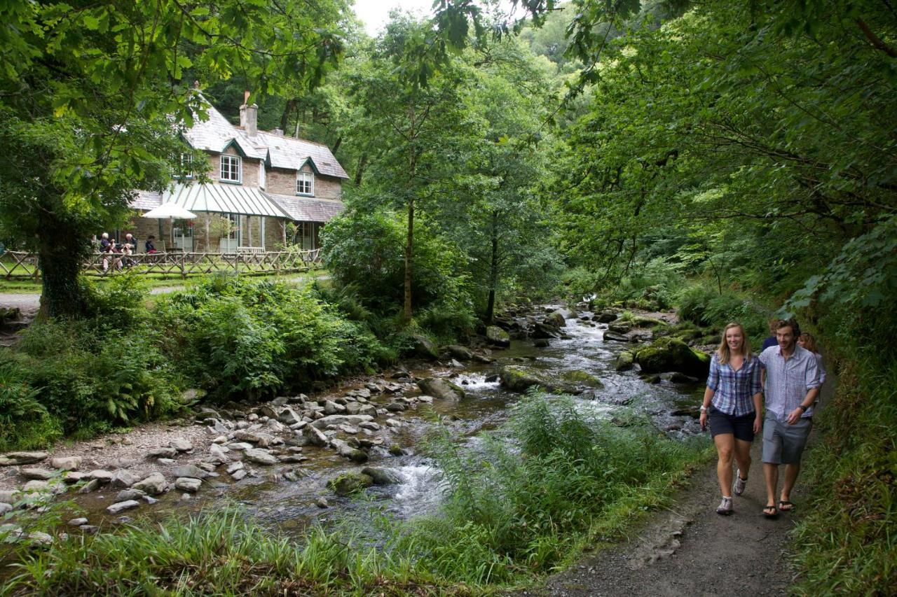 Southcliffe B&B Линтон Экстерьер фото